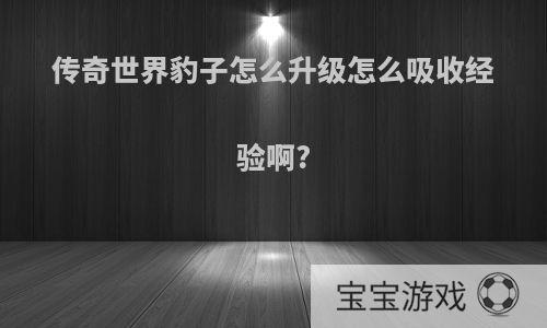 传奇世界豹子怎么升级怎么吸收经验啊?