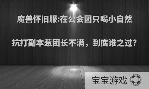 魔兽怀旧服:在公会团只喝小自然抗打副本惹团长不满，到底谁之过?