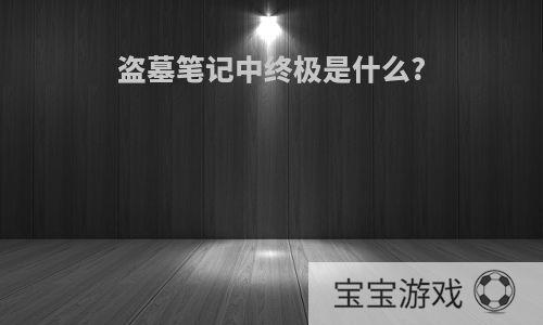 盗墓笔记中终极是什么?