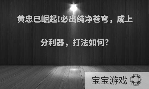 黄忠已崛起!必出纯净苍穹，成上分利器，打法如何?