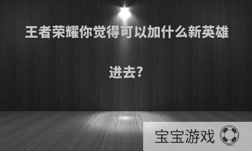 王者荣耀你觉得可以加什么新英雄进去?