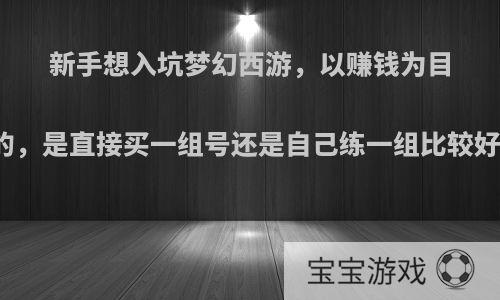 新手想入坑梦幻西游，以赚钱为目的，是直接买一组号还是自己练一组比较好?