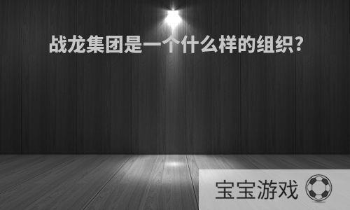 战龙集团是一个什么样的组织?