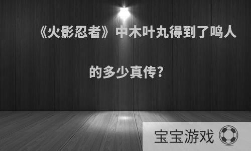 《火影忍者》中木叶丸得到了鸣人的多少真传?