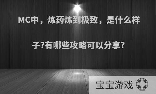 MC中，炼药炼到极致，是什么样子?有哪些攻略可以分享?