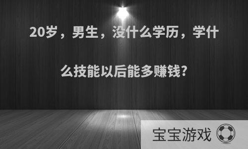 20岁，男生，没什么学历，学什么技能以后能多赚钱?