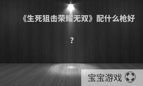 《生死狙击荣耀无双》配什么枪好?