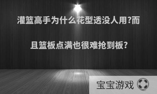 灌篮高手为什么花型透没人用?而且篮板点满也很难抢到板?