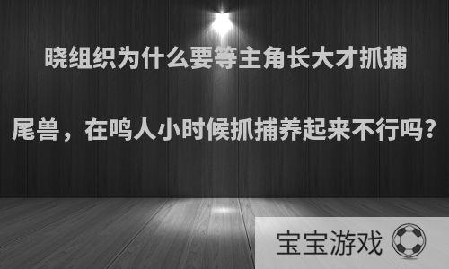 晓组织为什么要等主角长大才抓捕尾兽，在鸣人小时候抓捕养起来不行吗?