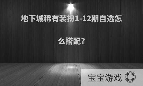 地下城稀有装扮1-12期自选怎么搭配?