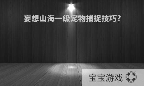 妄想山海一级宠物捕捉技巧?