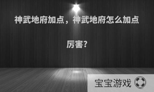 神武地府加点，神武地府怎么加点厉害?