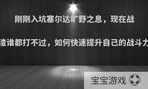 刚刚入坑塞尔达旷野之息，现在战5渣谁都打不过，如何快速提升自己的战斗力?