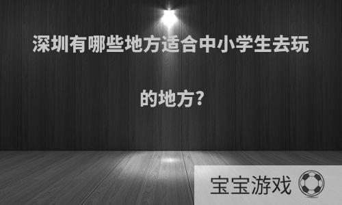 深圳有哪些地方适合中小学生去玩的地方?