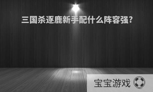 三国杀逐鹿新手配什么阵容强?