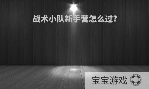 战术小队新手营怎么过?