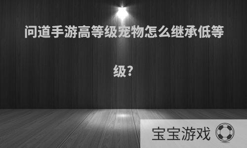 问道手游高等级宠物怎么继承低等级?