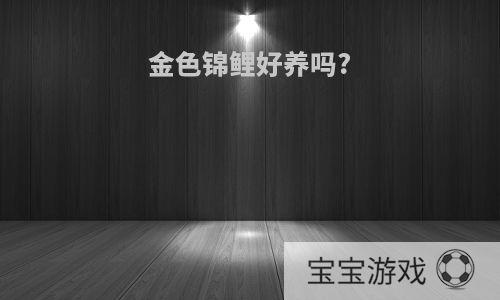 金色锦鲤好养吗?