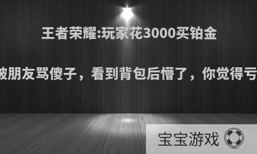 王者荣耀:玩家花3000买铂金号，被朋友骂傻子，看到背包后懵了，你觉得亏不亏?