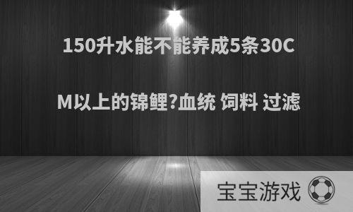 150升水能不能养成5条30CM以上的锦鲤?血统 饲料 过滤