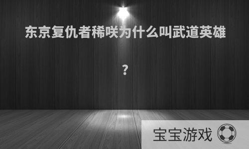 东京复仇者稀咲为什么叫武道英雄?