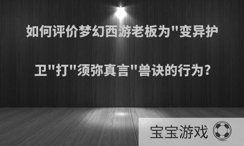 如何评价梦幻西游老板为