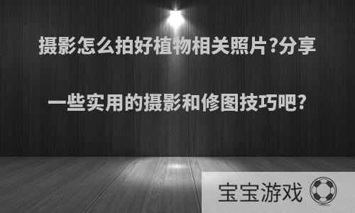 摄影怎么拍好植物相关照片?分享一些实用的摄影和修图技巧吧?