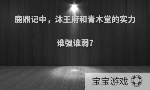 鹿鼎记中，沐王府和青木堂的实力谁强谁弱?