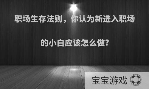 职场生存法则，你认为新进入职场的小白应该怎么做?