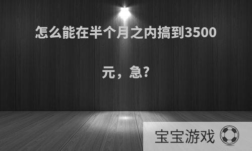 怎么能在半个月之内搞到3500元，急?