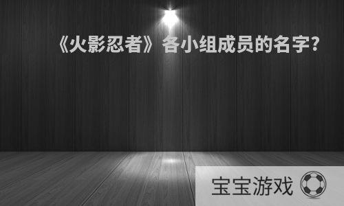 《火影忍者》各小组成员的名字?