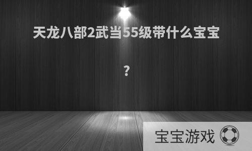 天龙八部2武当55级带什么宝宝?