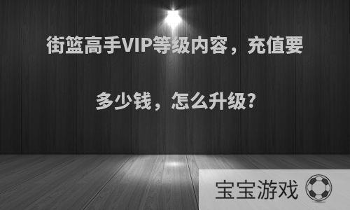 街篮高手VIP等级内容，充值要多少钱，怎么升级?