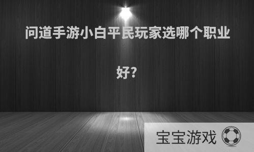 问道手游小白平民玩家选哪个职业好?