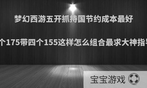 梦幻西游五开抓持国节约成本最好一个175带四个155这样怎么组合最求大神指导?