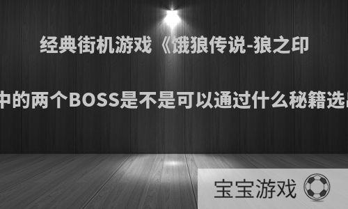 经典街机游戏《饿狼传说-狼之印记》中的两个BOSS是不是可以通过什么秘籍选出来?