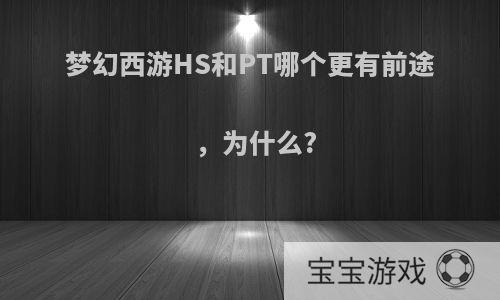 梦幻西游HS和PT哪个更有前途，为什么?