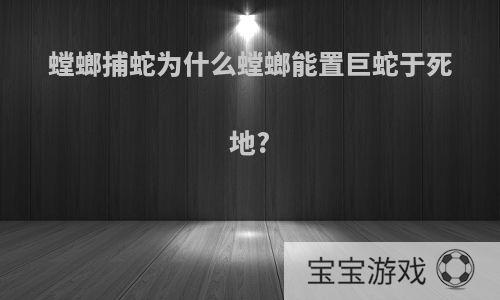 螳螂捕蛇为什么螳螂能置巨蛇于死地?