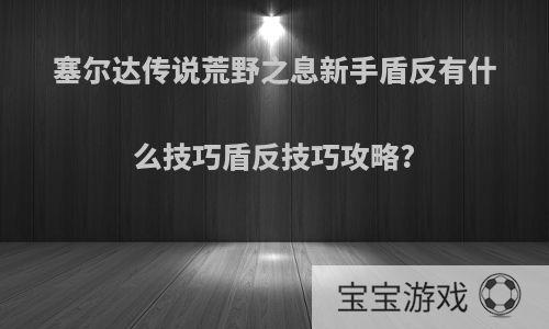 塞尔达传说荒野之息新手盾反有什么技巧盾反技巧攻略?