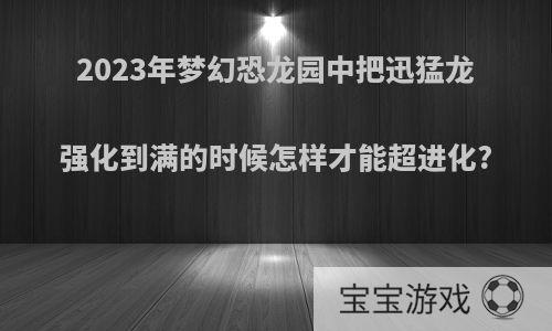 2023年梦幻恐龙园中把迅猛龙强化到满的时候怎样才能超进化?