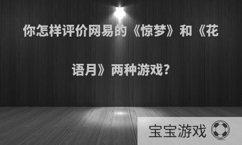 你怎样评价网易的《惊梦》和《花语月》两种游戏?