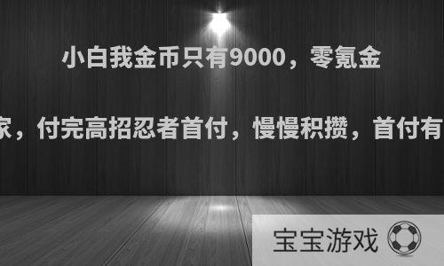 小白我金币只有9000，零氪金玩家，付完高招忍者首付，慢慢积攒，首付有么?