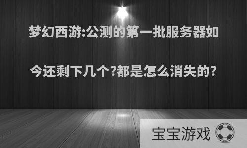 梦幻西游:公测的第一批服务器如今还剩下几个?都是怎么消失的?