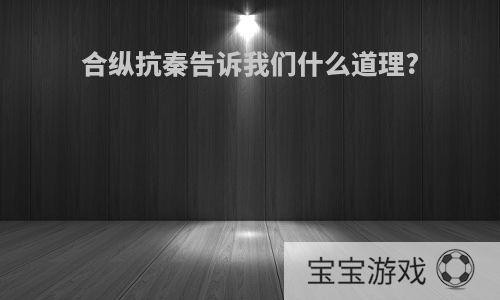 合纵抗秦告诉我们什么道理?