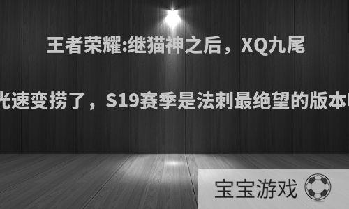 王者荣耀:继猫神之后，XQ九尾也光速变捞了，S19赛季是法刺最绝望的版本吗?