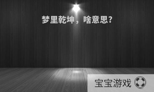 梦里乾坤，啥意思?