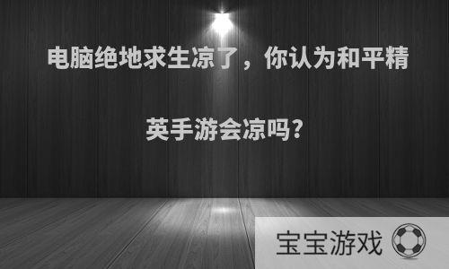 电脑绝地求生凉了，你认为和平精英手游会凉吗?