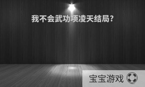 我不会武功项凌天结局?