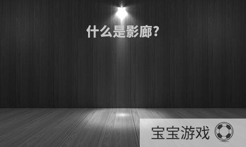什么是影廊?