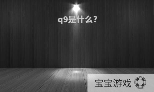 q9是什么?